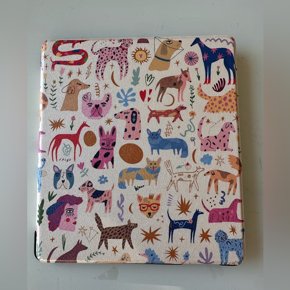 Kindle Case - Multicolor - Picture 2 of 6